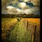 french country.