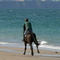 Plage de St Martin-de-Bréhal (Manche)