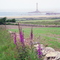 Phare de Goury - Pointe du Cotentin - Manche