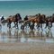 Trot à Hauteville-sur-mer