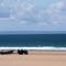 The Beach,view on Sark and Guernsey, Surtainville,2010