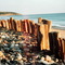 MARIONS - BAY