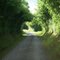 Hohlweg in der Normandie