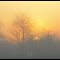Le Mesnil Rouxelin - Levé de soleil
