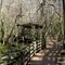 Board walk over the Florida's swamp.