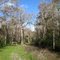 CREW Rookery Trail