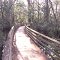 Corkscrew Swamp
