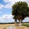 Les deux arbres