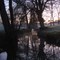 Le Parc de Moine, Cholet