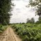 Campagne