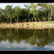Panoramique