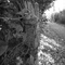 Chemin