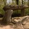 Dolmen des Pierres Folles, Commequiers