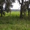 Tuscawilla Lake Prairie