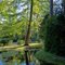 Reflets dans le parc de Chantilly.