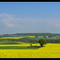 Yellow patchwork in PICARDY