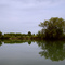 Reflections in the Charente river near Saintes, France