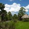 Grassy Waters Preserve