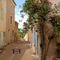 Le rosier (Centre ancien d’Istres)