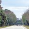 2012, Bunnell, FL - Rte 11 south