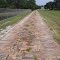 old brick road, thought to be Old Kings Rd but is actualy just part of cemetery (8-29-2011)