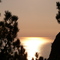 View from Esterel
