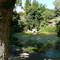 Fontaine Mary-Rose _ Source de la Canebière_ 123 m3/h