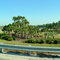 USA: Florida, Orlando - Palmcircle at highway I4