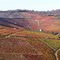 Vignoble Beaujolais en automne (Rhône)