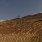 Pentes du Mont Brouilly