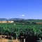 Beaujolais Villages- Bellvile