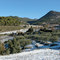 Piegon, Provence, oliviers sous la neige.