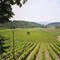 Rousset-les-Vignes II