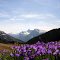 Image de Haute Savoie