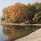 L'automne au lac