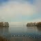 Lignes de brume...