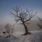 Image d'hiver
