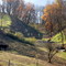 Campagne de Savoie