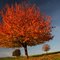 Automne en Savoie
