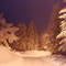 Cold Morning