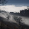 Foggy morning
