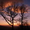 Winter sunset