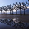 Reflets