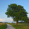 Between Gingins and Trélex, Vaud, CH