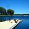 canards sur un ponton