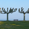 Au bord du léman