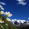 Image de Haute Maurienne