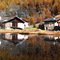 Reflets du Monal