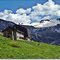 Rifugio Bezzi