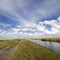 Everglades